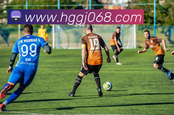 皇冠国际hg平台生态图