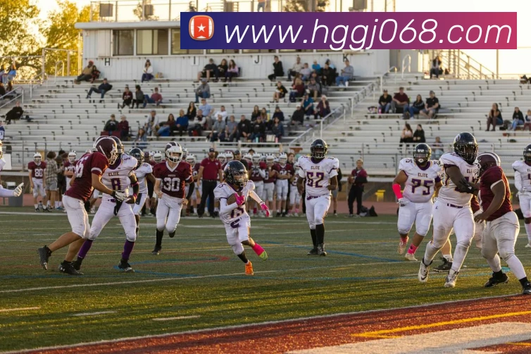 皇冠国际hg全站App